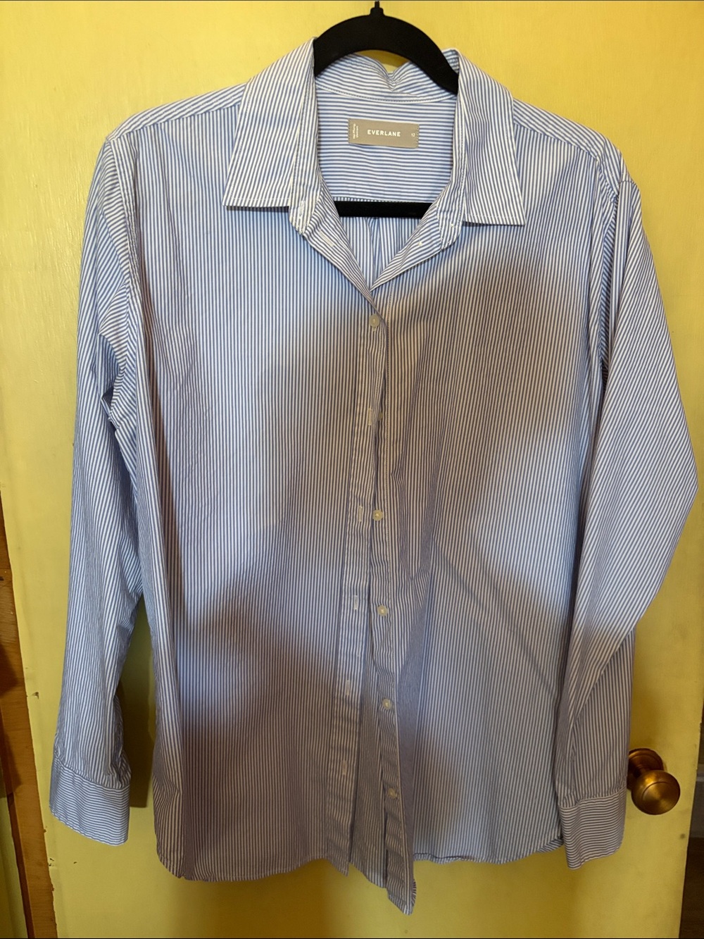 Everlane striped button-down cotton shirt